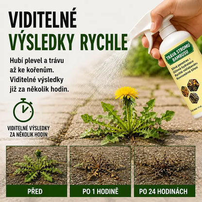VÝPRODEJ 2026 – Rychle působící přírodní sprej proti plevelu a nežádoucí trávě🔥