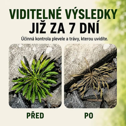 VÝPRODEJ 2026 – Rychle působící přírodní sprej proti plevelu a nežádoucí trávě🔥